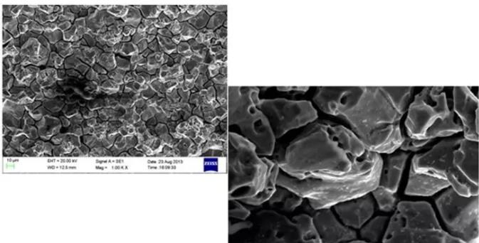 德宏德宏蔡司德宏扫描电镜